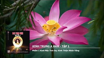 Tập 1 – Phẩm 1 K.Mộc Tích Dụ – K.Thiện Nhân Vãng 