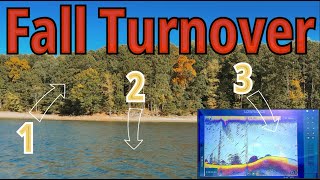 3 Clues to SPOT Fall Turnover EARLY!