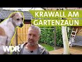 Dem Hund die richtigen Signale senden | Hunde verstehen (14) | Tierratgeber | WDR