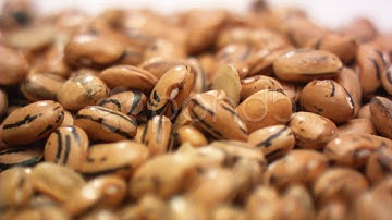 Kidney Beans. Stock Footage