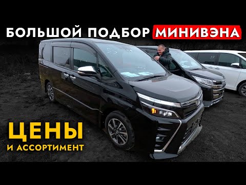 Автоподбор МИНИВЭНА❗️ TOYOTA или HONDA? Большой обзор ЦЕН!  Voxy | Noah | Esquire | Stepwgn
