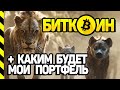 БИТКОИН. QUANTFURY, ЦИРКОВОЙ ЛЕВ МАЗУР 🤡 И ГИЕНЫ. NEAR PROTCOL (NEAR). СТРИМ СЛЕЗЫ САТОШИ