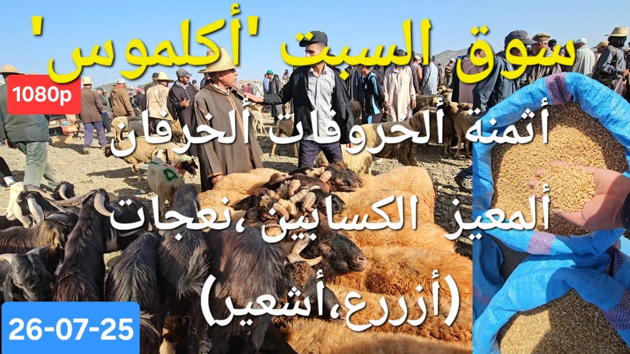 #مباشرة #سوق السبت #الماشية🐏🐐🐑#أكلموس إقليم خنيفرة ،أثمنة ألخروفات ألخرفان ألمعيز الكسابين،ألخرطال .