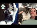 Storytime: Adopting a Cat in College | Pros and Cons