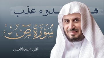 هدوء عذب سورة ص بصوت القارئ سعد الغامدي