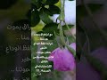     سيمفونية الروح