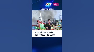 6 tàu cá đang neo đậu bất ngờ bốc cháy dữ dội #SummerOfShorts #MCVShorts