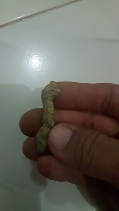 DiJual Pusaka Ageman Kuno ROJO WELUT PUTIH Wa.08982620505