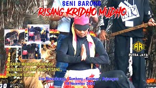 Atraksi Memecah Mangga , Menebas Gagang Daun Pisang | Barongan Kridho Mudho Live Sambeng Kasiman