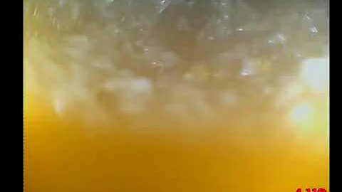 131 W. 4th St New Lenox sewer inspection video