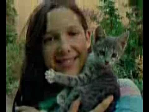 Videó: Változatosság: Mit Jelent Az én Macskám?”