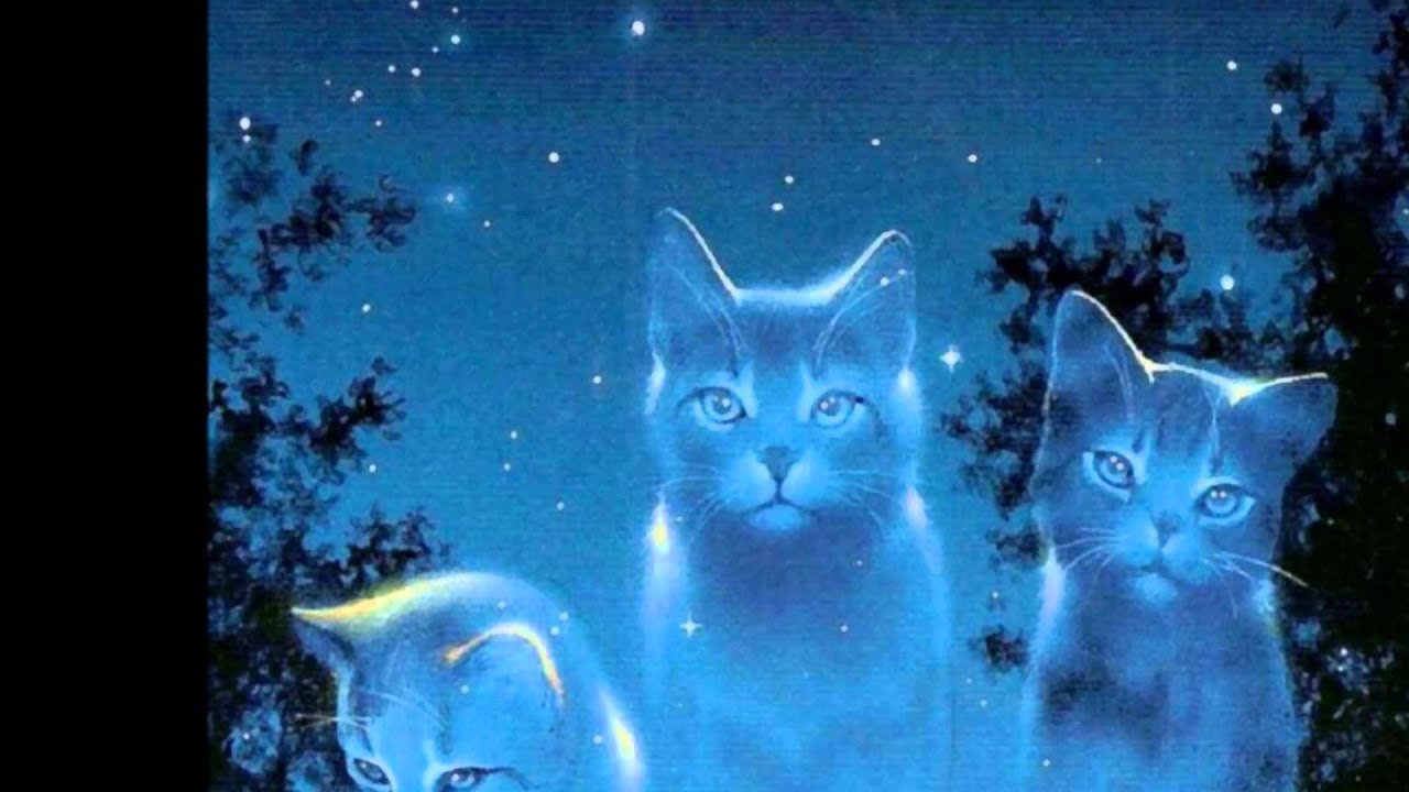 Warriors Movie Trailer Fanmade YouTube