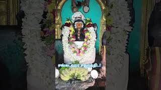 #vinayagar #youtubetrendingshorts #trendingshorts #ganapatibappamorya #shortvideo #trendingshorts
