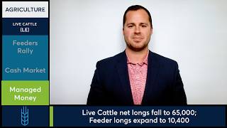 Feeder Cattle futures led gains on firm cash beef data. 8/7/26