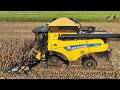 Maisernte 2024 - Mähdrescher New Holland CR10.90 &amp; Pflücker Körnermais dreschen Traktor corn harvest