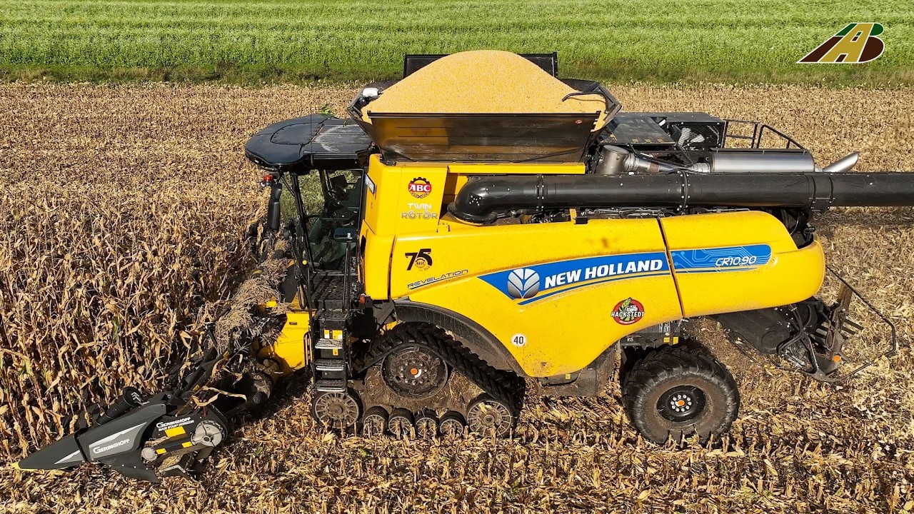 Maisernte 2024 - Mähdrescher New Holland CR10.90 & Pflücker Körnermais dreschen Traktor corn harvest