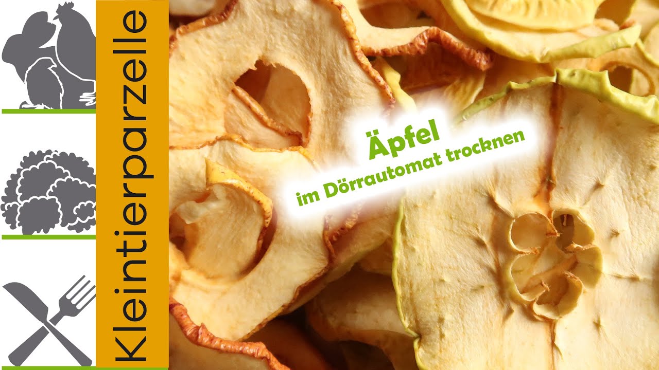 Äpfel dörren im Dörrautomat Unsere Äpfel trocknen YouTube