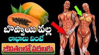 బొప్పాయి గురించి ఈ నిజాలు తెలిస్తే షాక్ అవుతారు || Amazing Health Benefits of Papaya || KSK Home