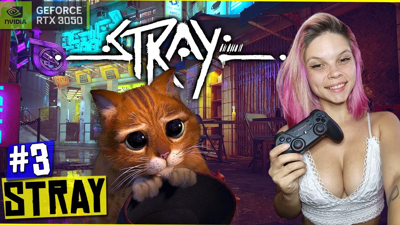 alanzoka jogando Stray, o jogo do gato - #1 