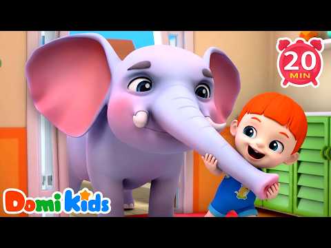 Funny Animals Make You Laugh 😂 | Animal Fun | Kids Songs & Nursery Rhymes | Domi Kids