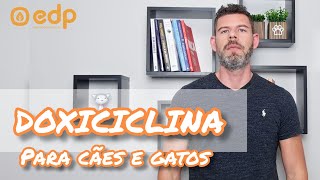 141 | ANTIBIÓTICO DOXICICLINA PARA CÃES E GATOS