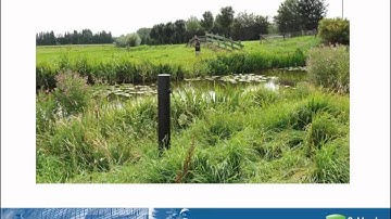 Diver-NETZ  |  Introductory Webinar