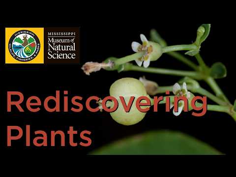 Rediscovering a Southeastern Endemic Plant - Lecture