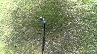 Camera Plane - 22" Dead Simple Wing 2 - 1st flight