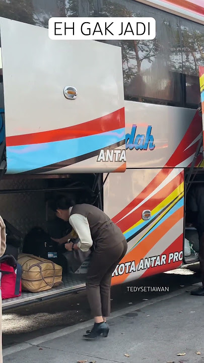 Bus Rosalia Indah pramugari nya cantik