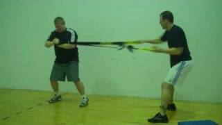 Lebert Buddy System  Core Circuit