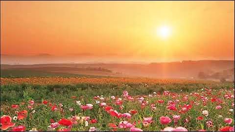 روائع التلاوات الشيخ يونس عوض من السودان