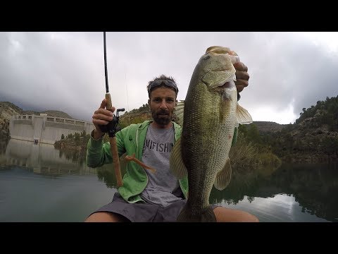 Video: Pesca de otoño en Texas