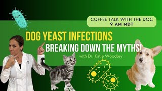 Yeast Infections in Dogs: Common Myths & Holistic Remedies  Holistic Vet Advice