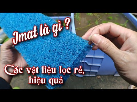 So sánh và chọn những vật liệu lọc phổ biến, giúp lọc nước hồ Koi hiệu quả.