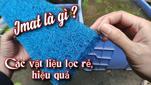 So sánh và chọn những vật liệu lọc phổ biến, giúp lọc nước hồ Koi hiệu quả.