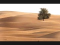 VOZ DA VERDADE PROJETO NO DESERTO