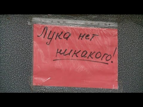 Горе луковое
