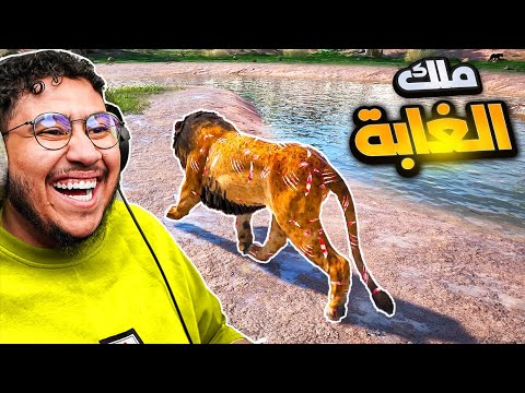 يوم في حياة ملك الغابة الغلطة بعشرة 