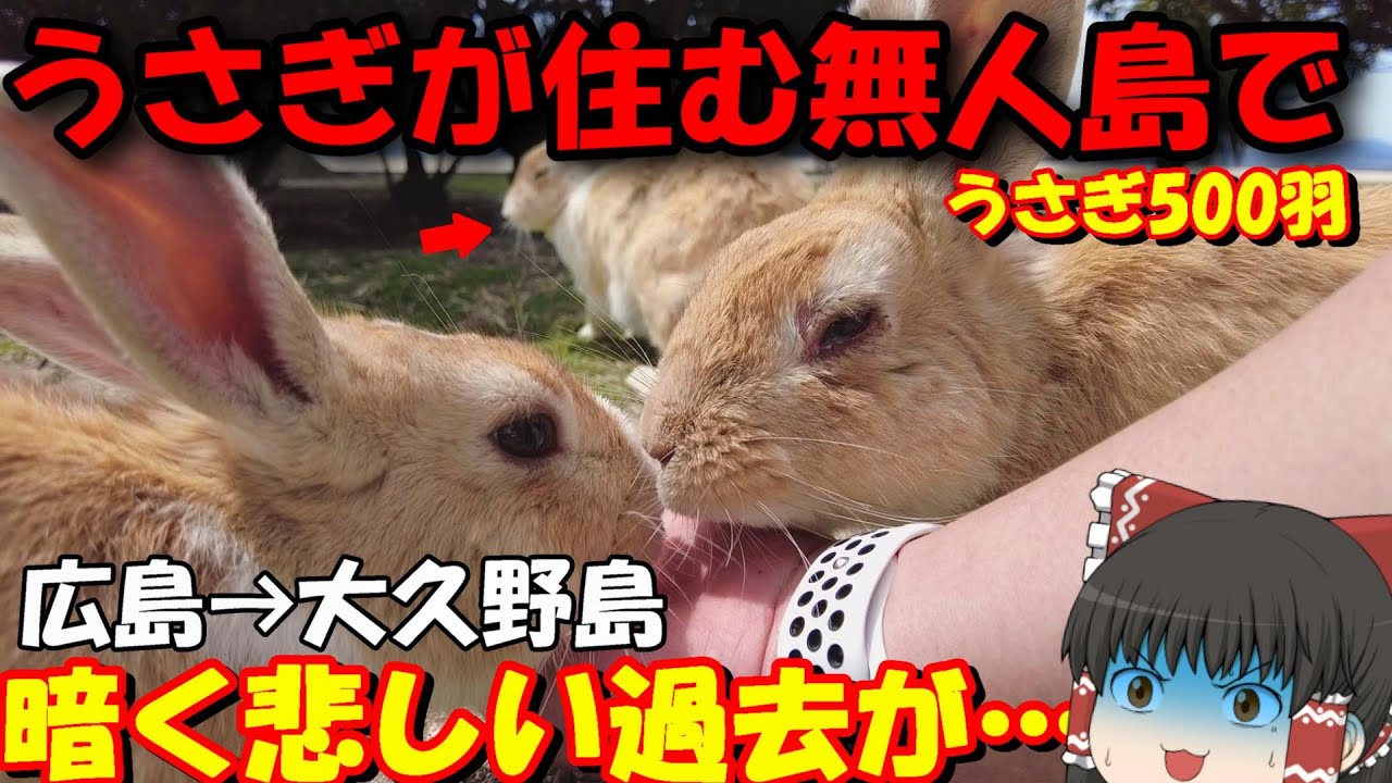 日本地図から消された島…。フェリーでうさぎの住む無人島に向かう‼忠海→大久野島【ゆっくりトラベル】