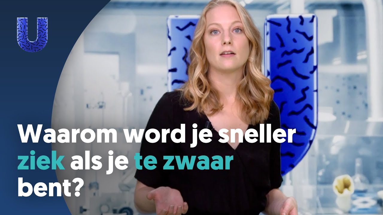 Waarom word je sneller ziek als je te zwaar bent? YouTube Waarom word je sneller ziek als je te zwaar bent? YouTube