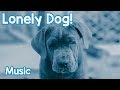 Music for Lonely Dogs! Keep Your Dog Relaxed and Happy with this Music!