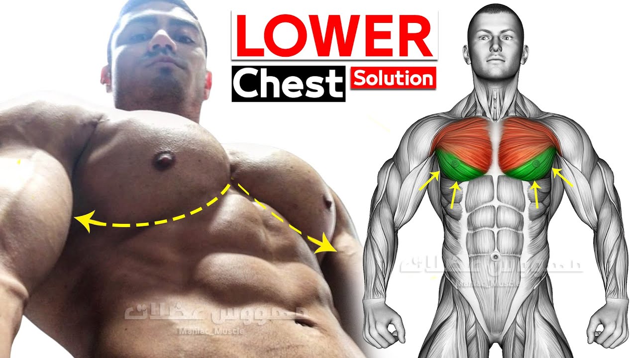 6 BEST EXERCISE LOWER CHEST WORKOUT 🔥