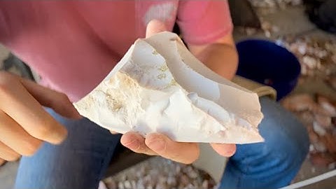20 Minute Challenge!! Flint-Knapping Florida Coral: Rock 2 Point!