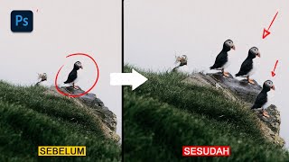 Celebrity Cara Duplikat Gambar di photoshop - Tutorial Photoshop Wealth