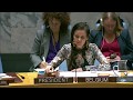 Выступление В.А.Небензи на заседании Совета Безопасности по взаимодействию ООН по проблематике ДНЯО