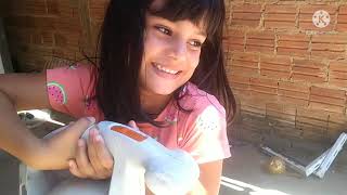 consertando e testando um soprador de folhas da STIHL