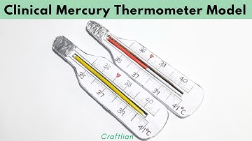 Clinical Mercury Thermometer Model || Science Project