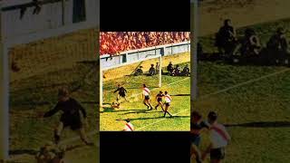 7ory4CDmjSY Video Image