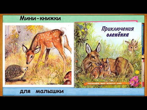 Приключения ОЛЕНЁНКА (И.В. Гурина) - читает бабушка Лида