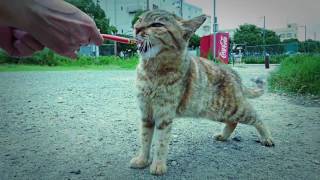 AUTO AWESOME MOVIE 1 20170712 215421
